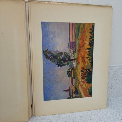 Matisse Art Book