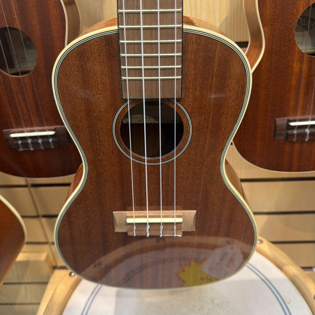 NEW Kala KA-CGE Gloss Mahogany Acoustic-Electric Concert Ukulele